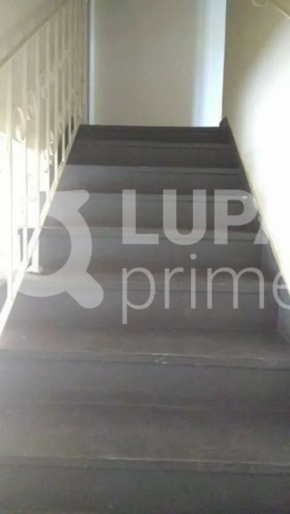 Casa, 4 quartos, 150 m² - Foto 5