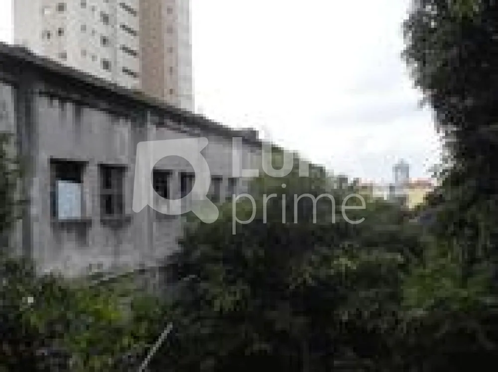 Terreno, 4200 m² - Foto 1