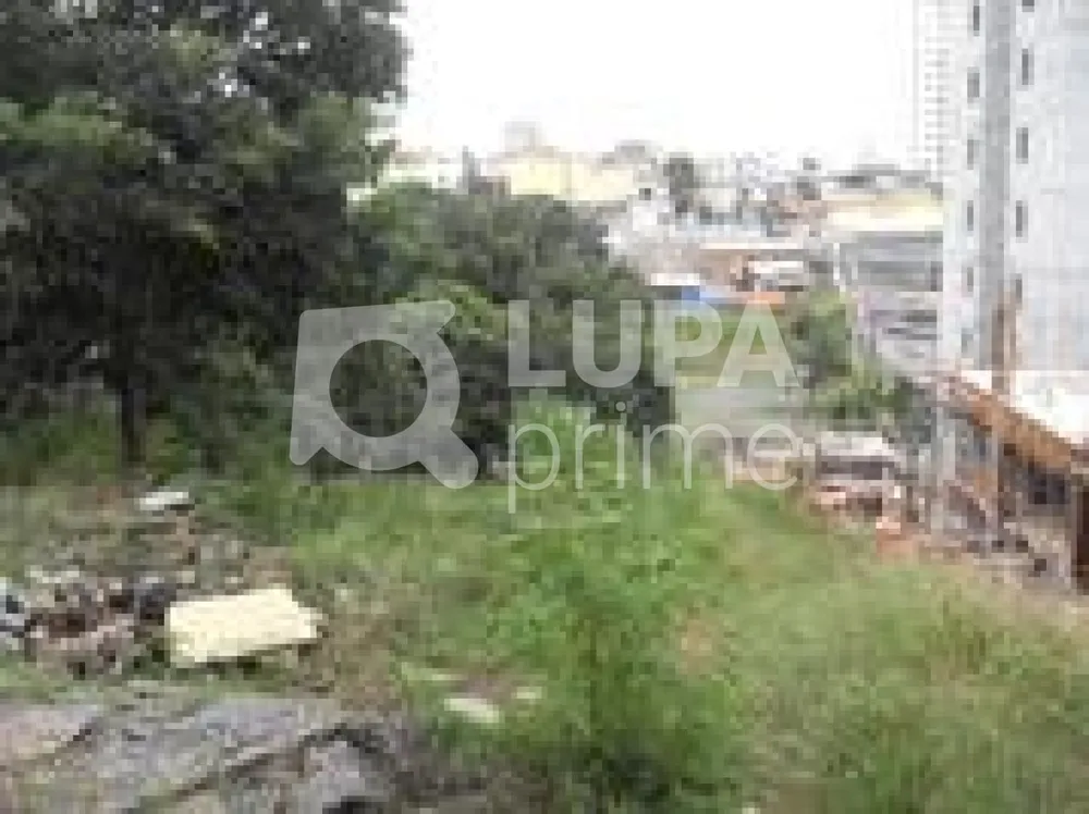 Terreno, 4200 m² - Foto 2