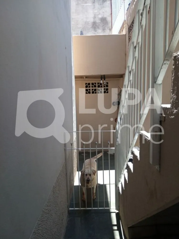 Casa, 3 quartos, 119 m² - Foto 12