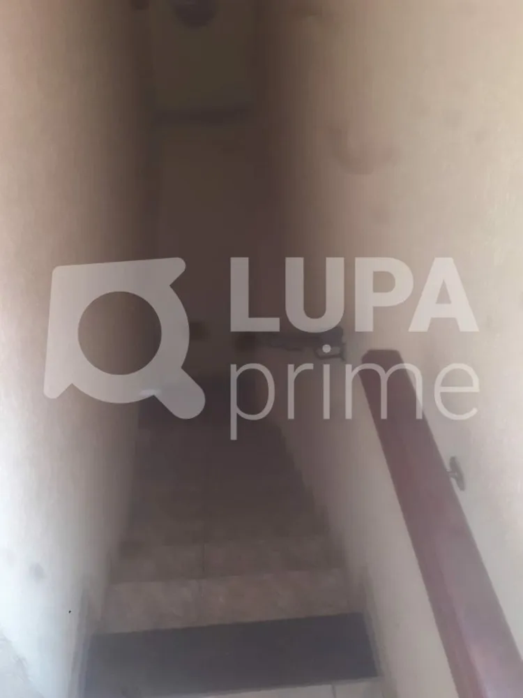 Casa, 3 quartos, 240 m² - Foto 12