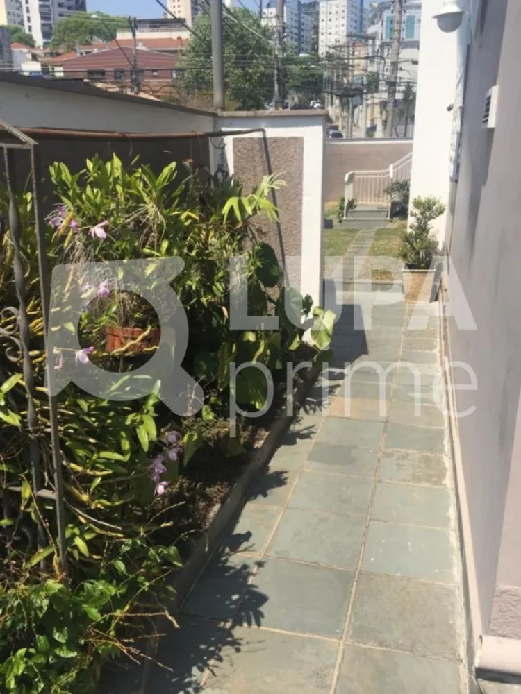 Casa, 4 quartos, 252 m² - Foto 4