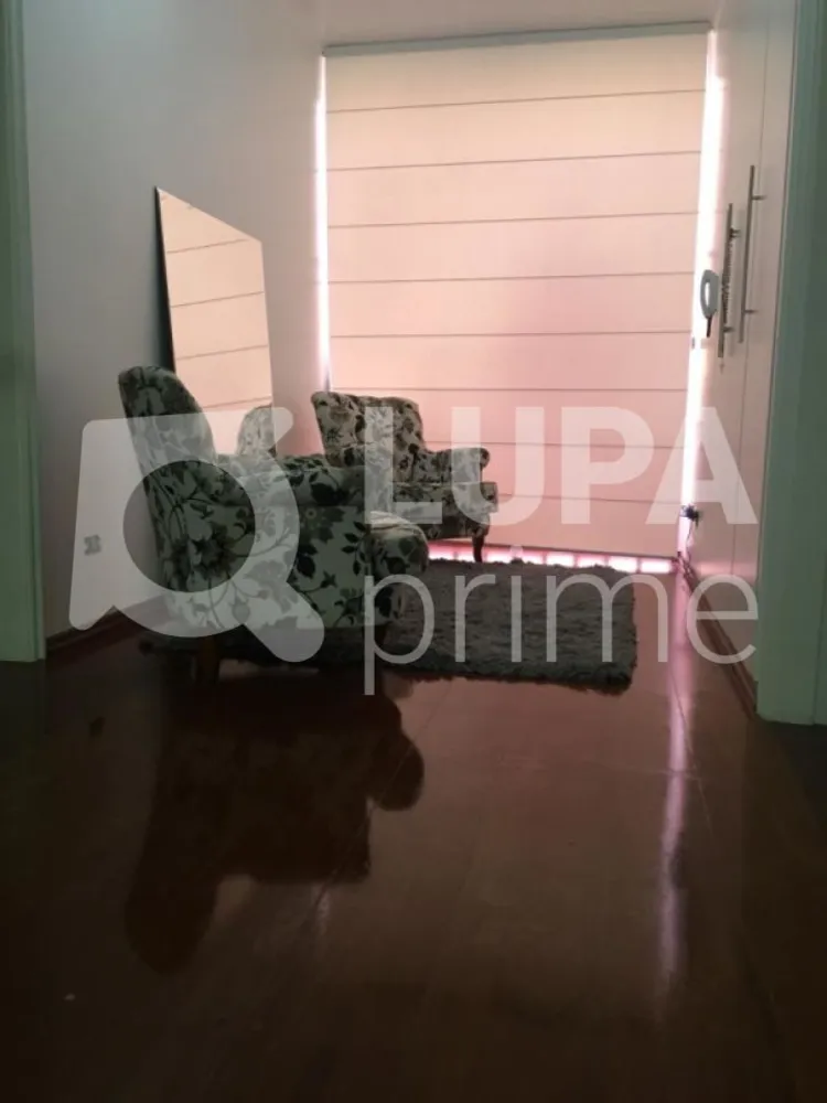 Casa, 4 quartos, 252 m² - Foto 8