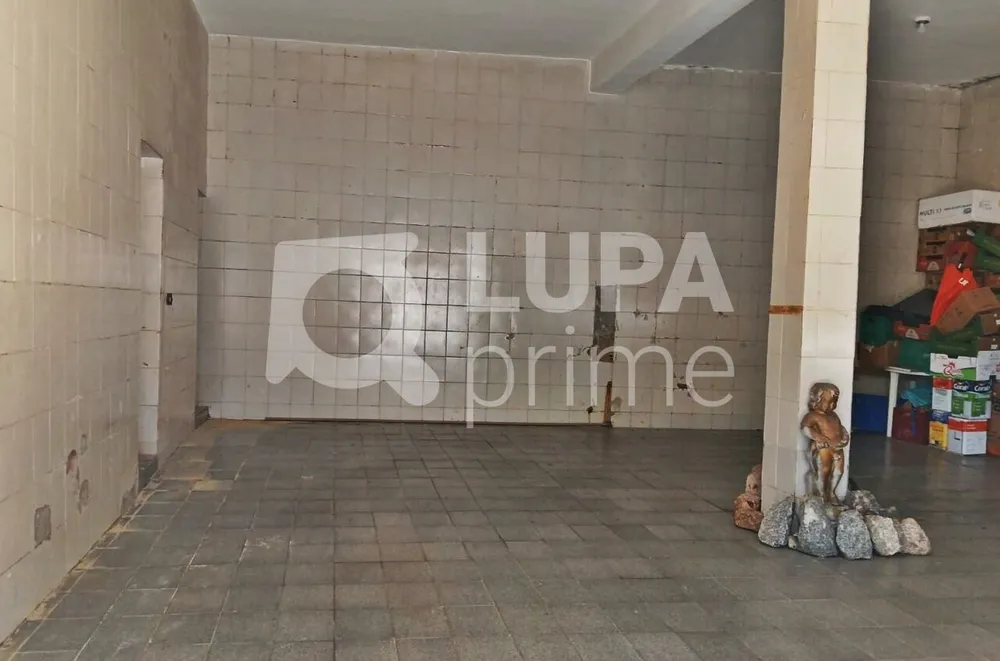 Casa, 3 quartos, 438 m² - Foto 8