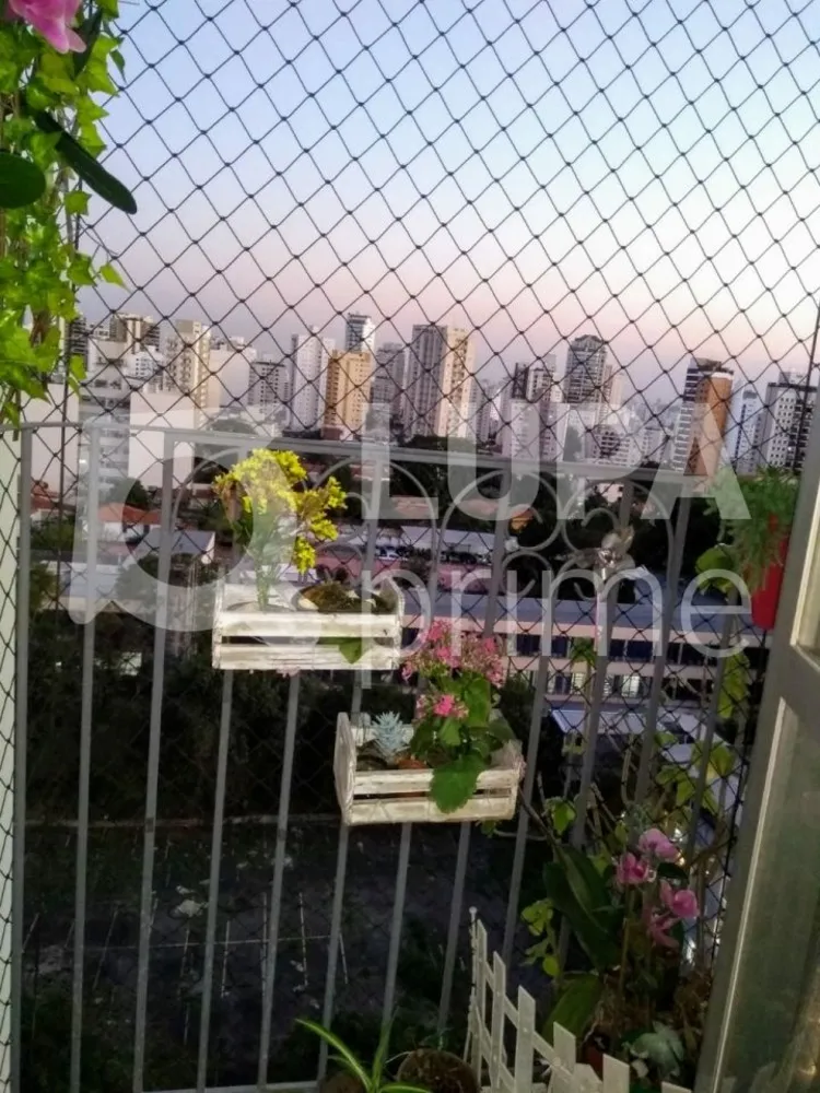 Apartamento, 3 quartos, 74 m² - Foto 12
