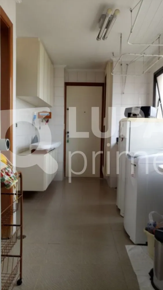 Apartamento, 3 quartos, 254 m² - Foto 11