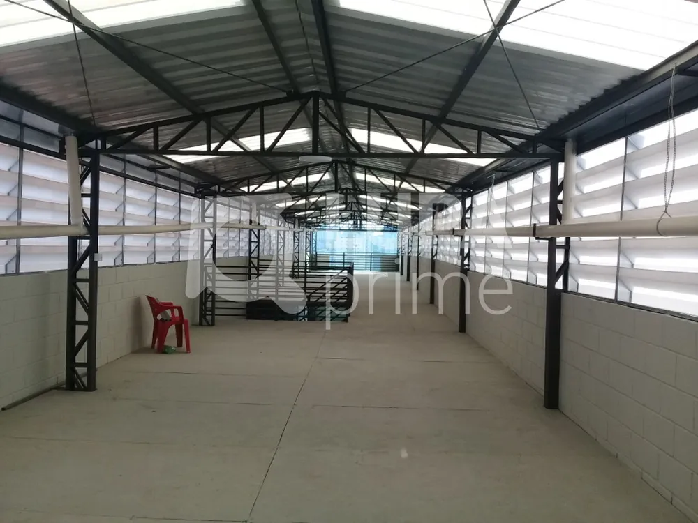 Prédio Inteiro, 500 m² - Foto 7