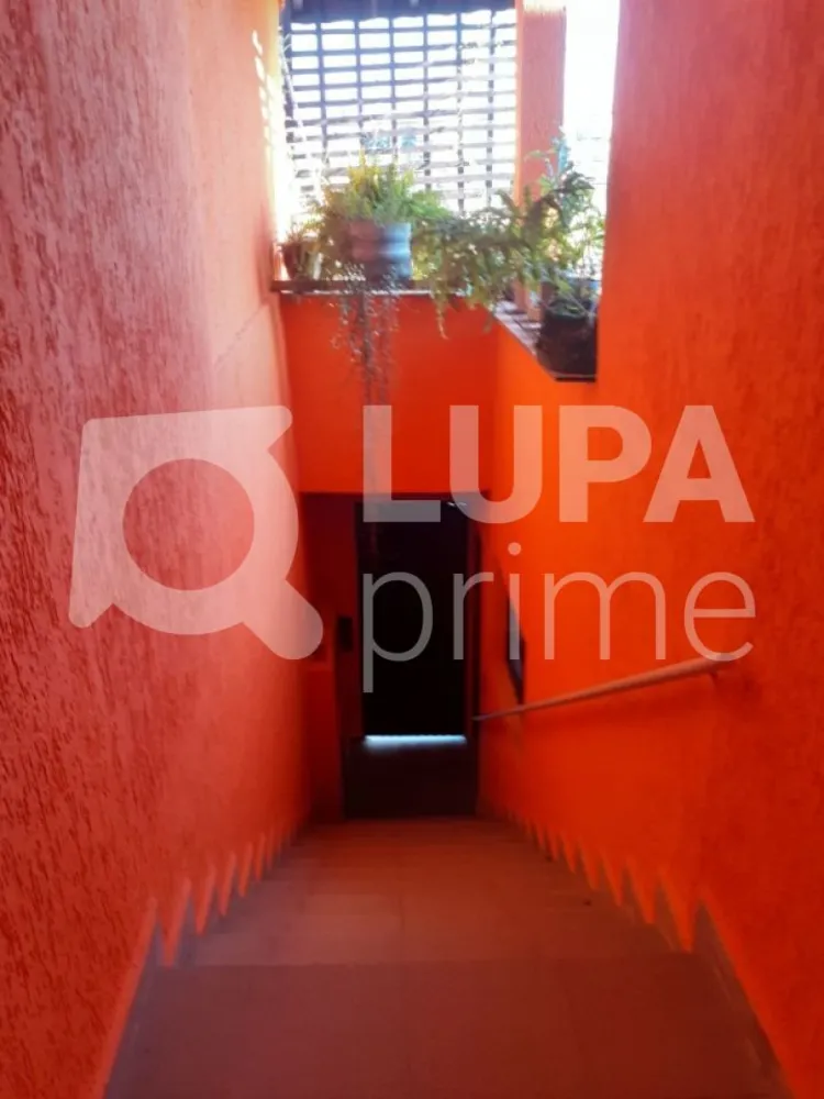 Casa, 4 quartos, 100 m² - Foto 6