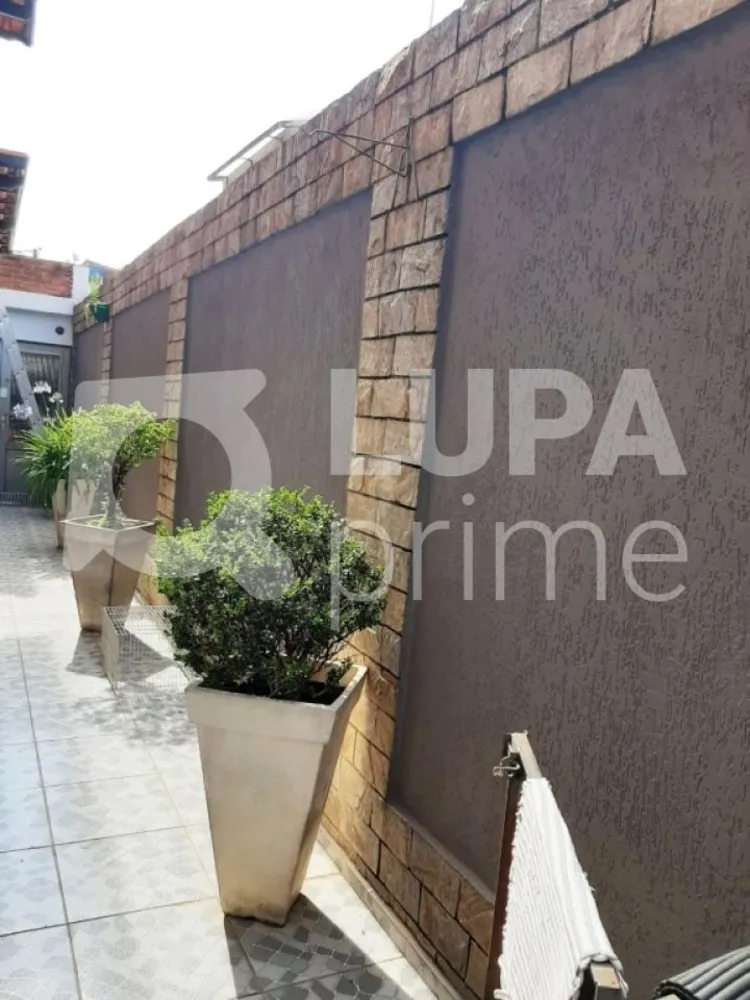 Casa, 5 quartos, 275 m² - Foto 6