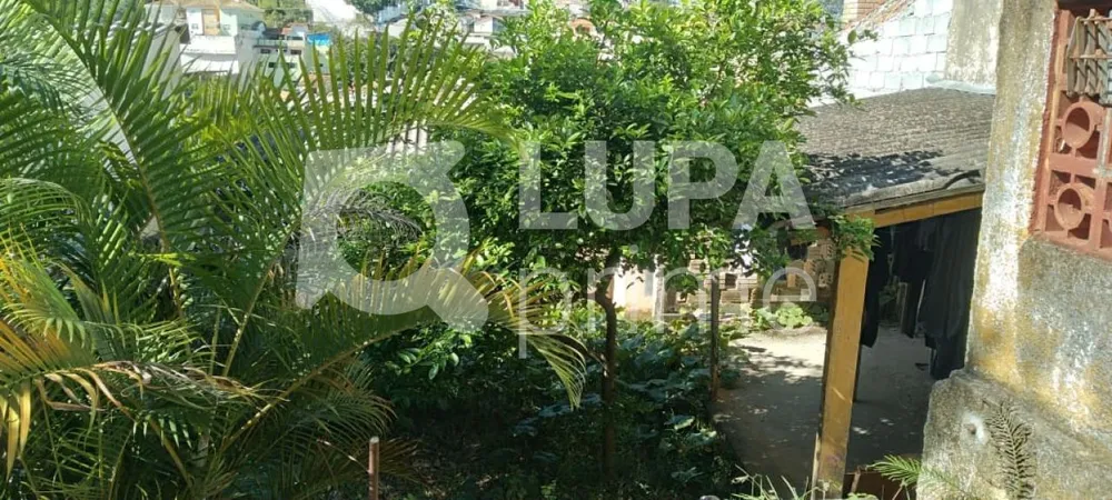 Casa, 3 quartos, 323 m² - Foto 10