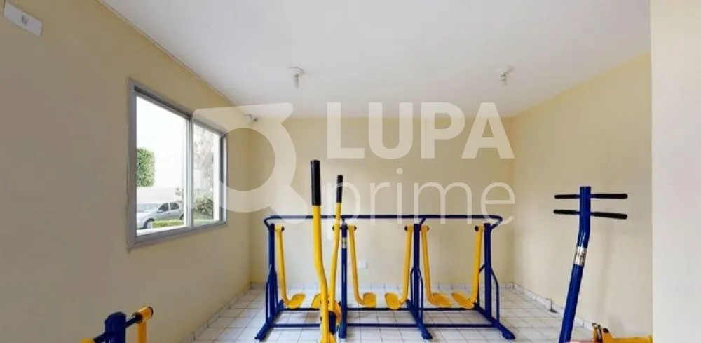 Apartamento, 3 quartos, 69 m² - Foto 3