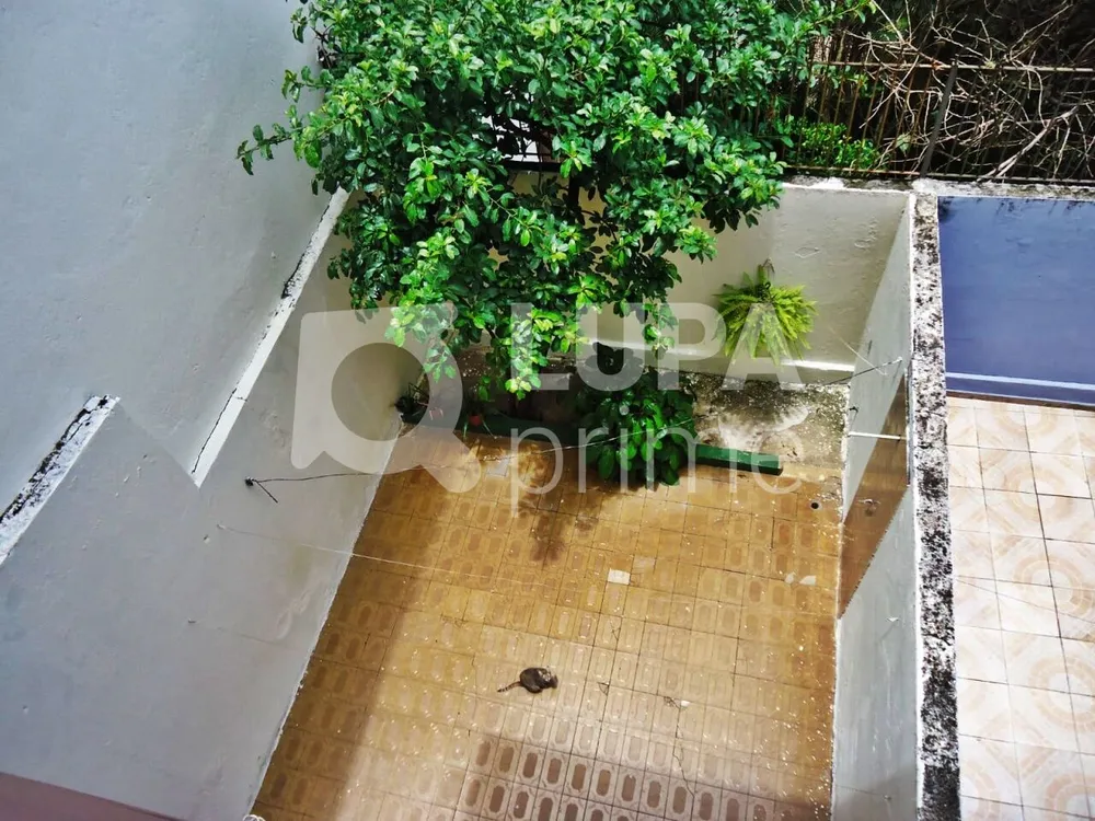 Casa, 3 quartos, 227 m² - Foto 6