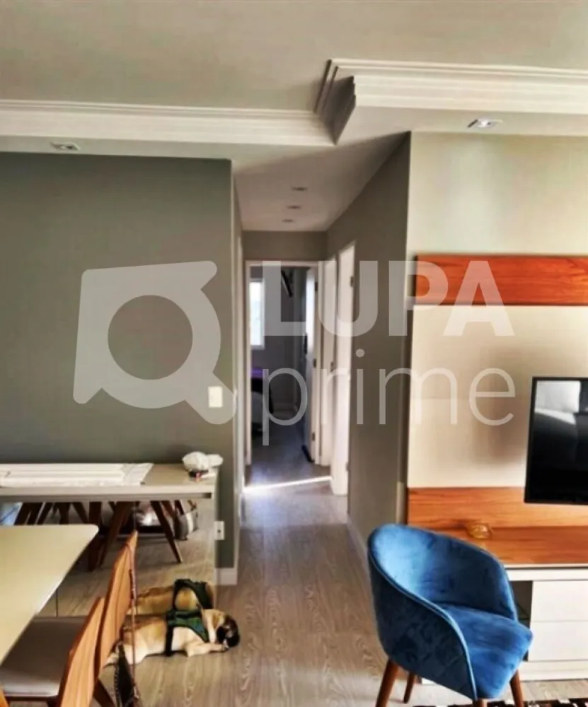Apartamento, 3 quartos, 76 m² - Foto 6