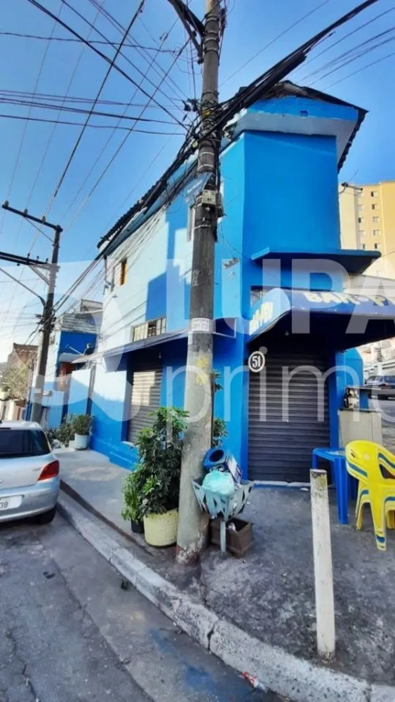 Casa, 7 quartos, 250 m² - Foto 6