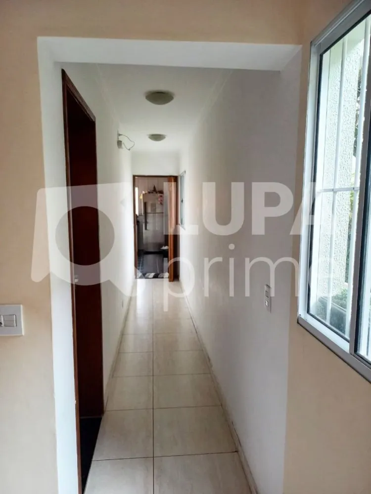Casa, 4 quartos, 310 m² - Foto 6