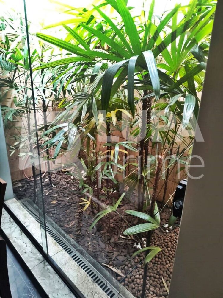 Casa, 3 quartos, 115 m² - Foto 4