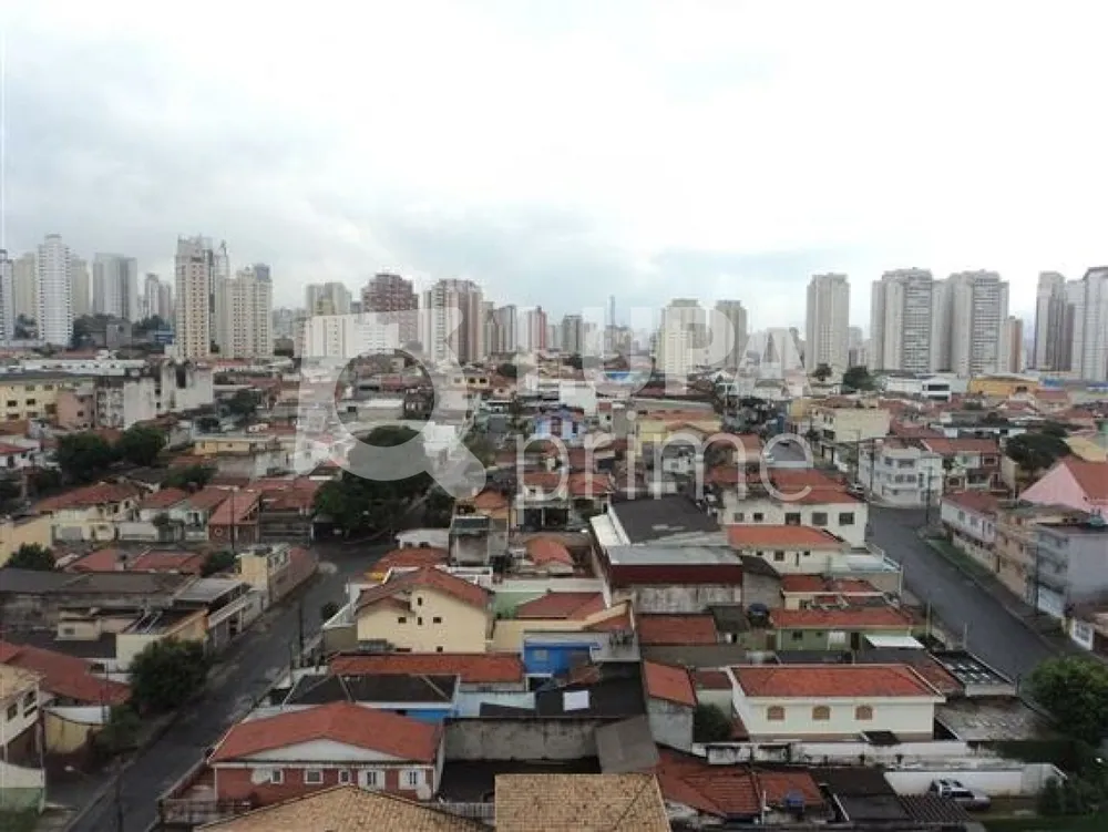 Apartamento, 3 quartos, 75 m² - Foto 12