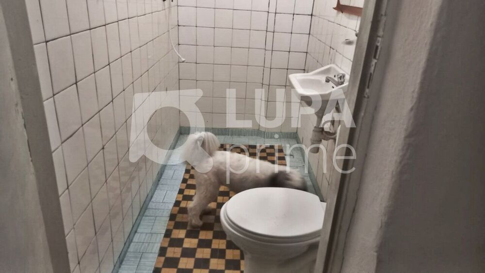 Casa à venda com 4 quartos, 160m² - Foto 10