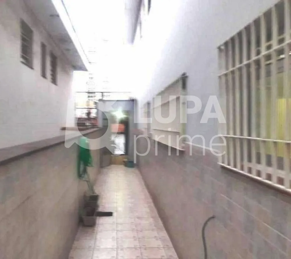 Casa, 3 quartos, 219 m² - Foto 10