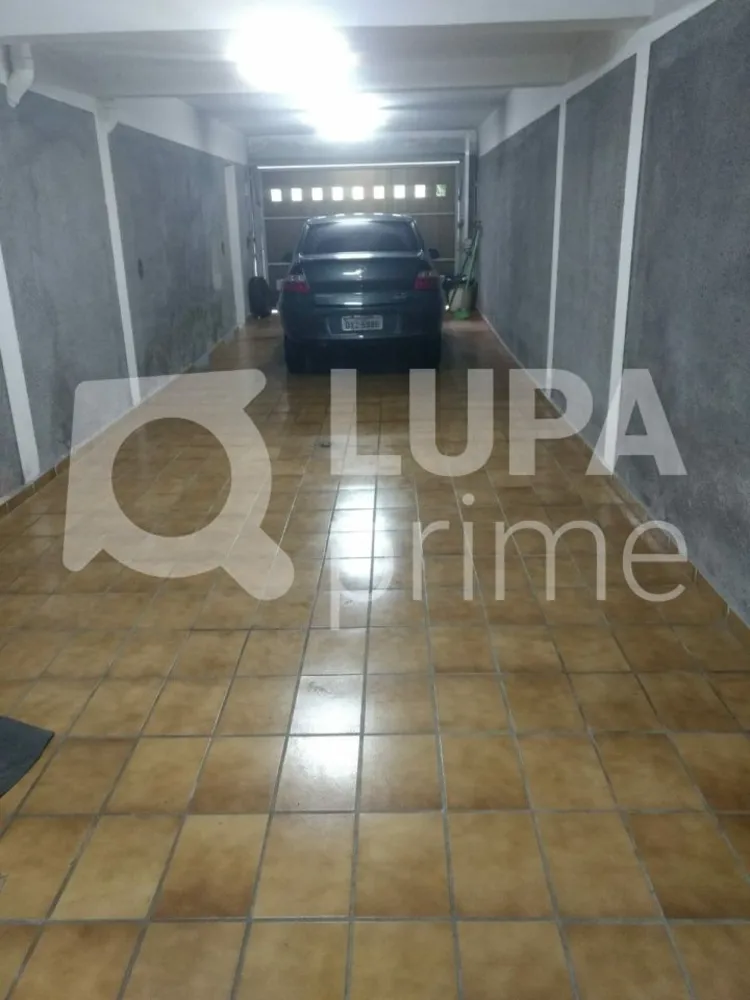 Casa, 4 quartos, 250 m² - Foto 6