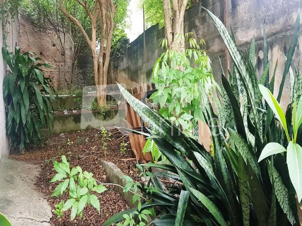 Casa, 3 quartos, 243 m² - Foto 5