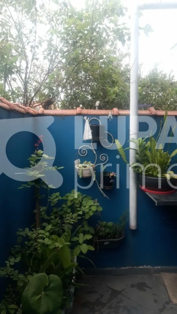Casa, 4 quartos, 114 m² - Foto 9