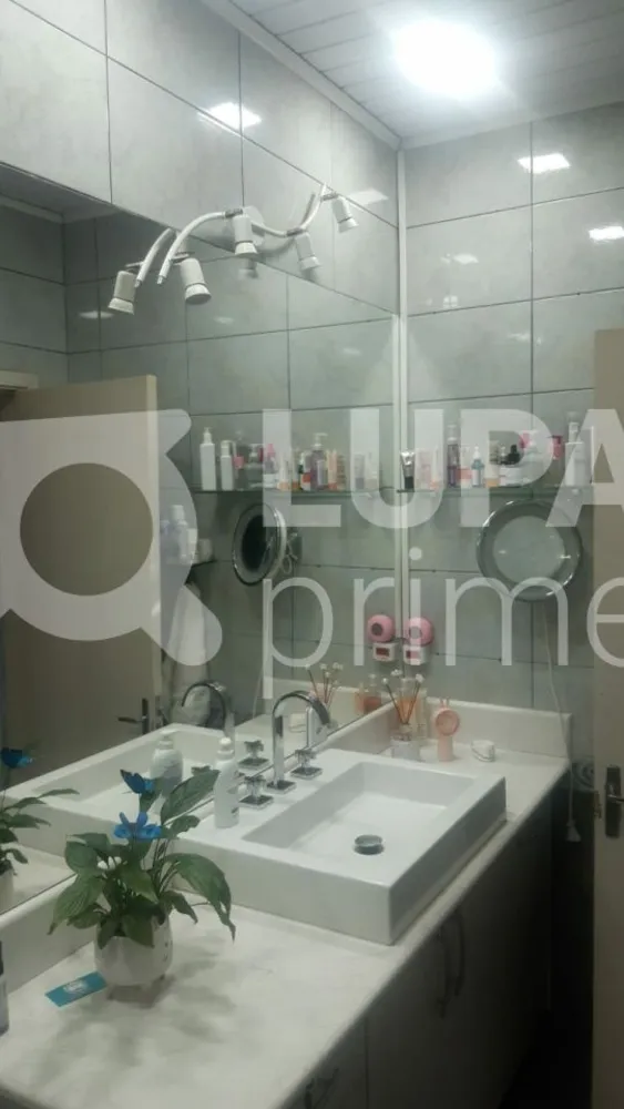 Casa, 4 quartos, 114 m² - Foto 7