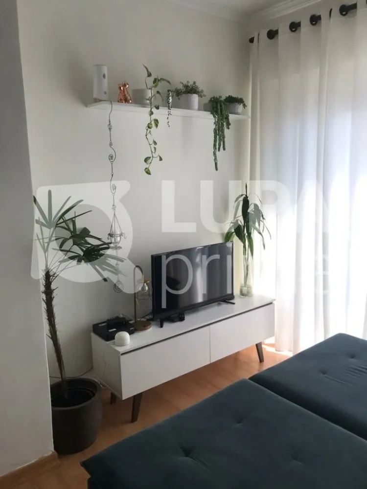 Apartamento, 2 quartos, 54 m² - Foto 15
