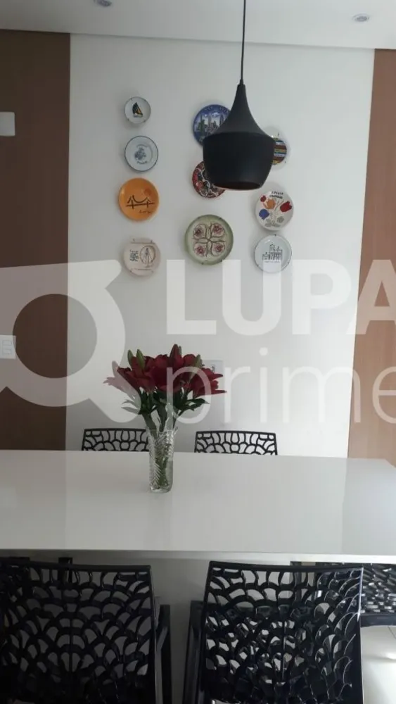 Casa, 3 quartos, 146 m² - Foto 8