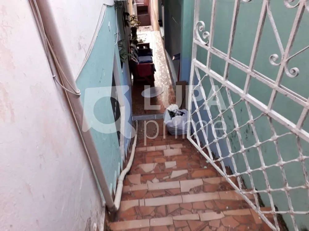 Casa, 8 quartos, 225 m² - Foto 12