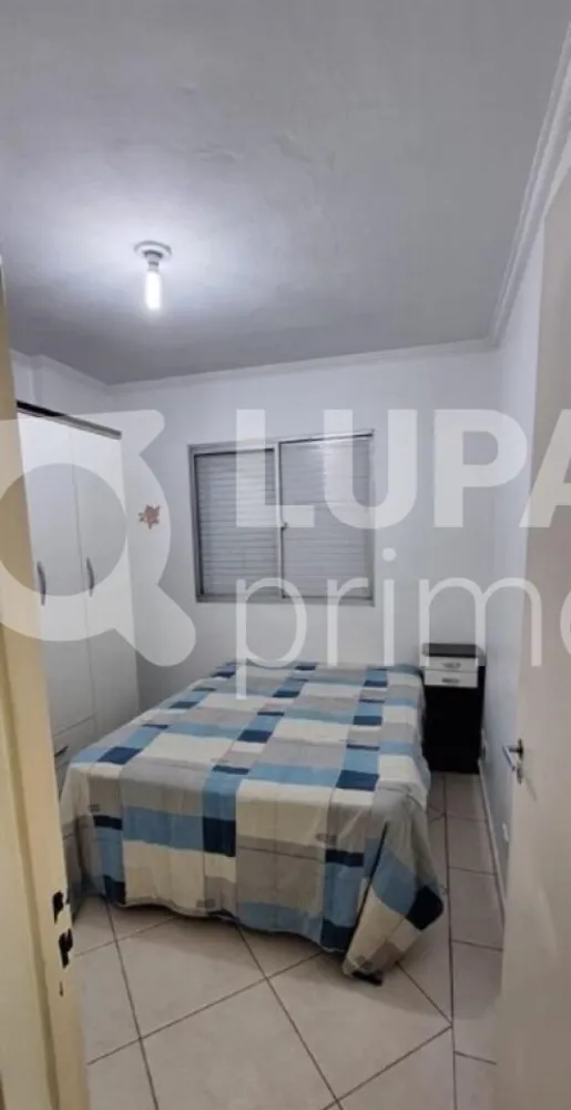 Apartamento, 3 quartos, 70 m² - Foto 14