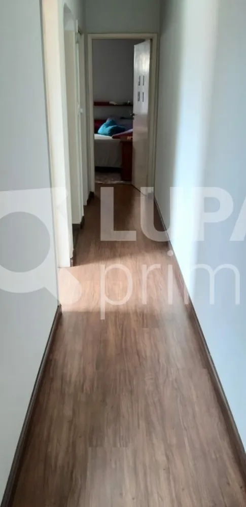 Casa, 4 quartos, 169 m² - Foto 4