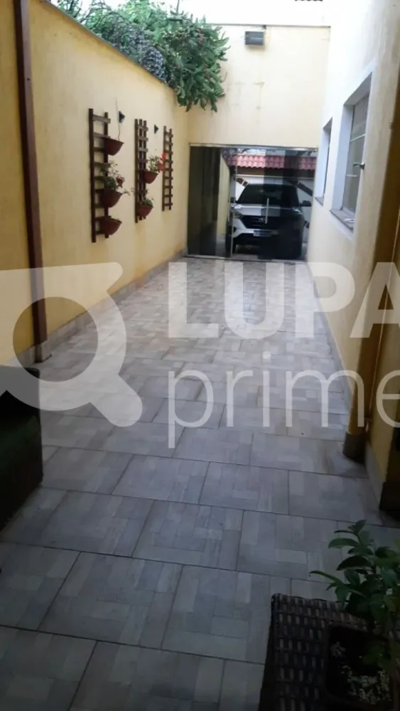 Casa, 4 quartos, 278 m² - Foto 12
