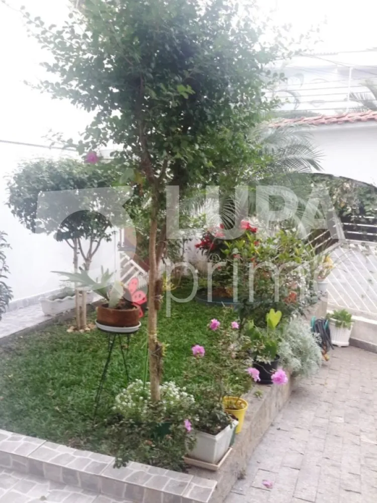 Casa, 5 quartos, 320 m² - Foto 7