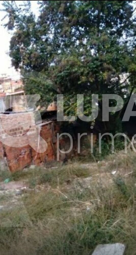 Terreno, 120 m² - Foto 7