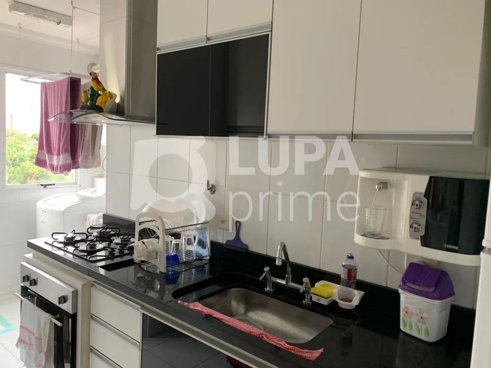 Apartamento, 3 quartos, 75 m² - Foto 1