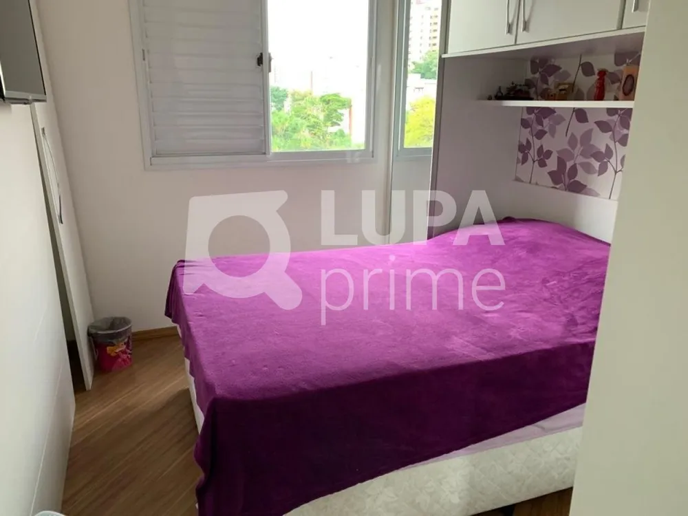 Apartamento, 3 quartos, 75 m² - Foto 4