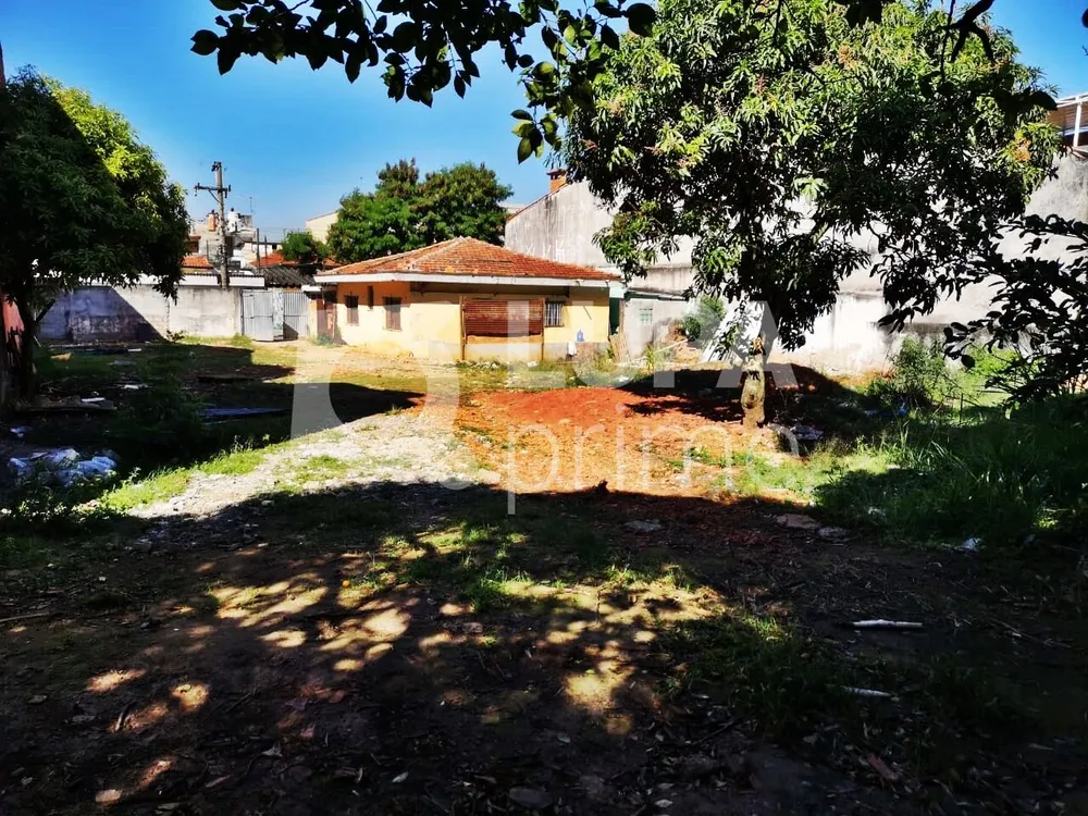 Terreno, 1500 m² - Foto 3