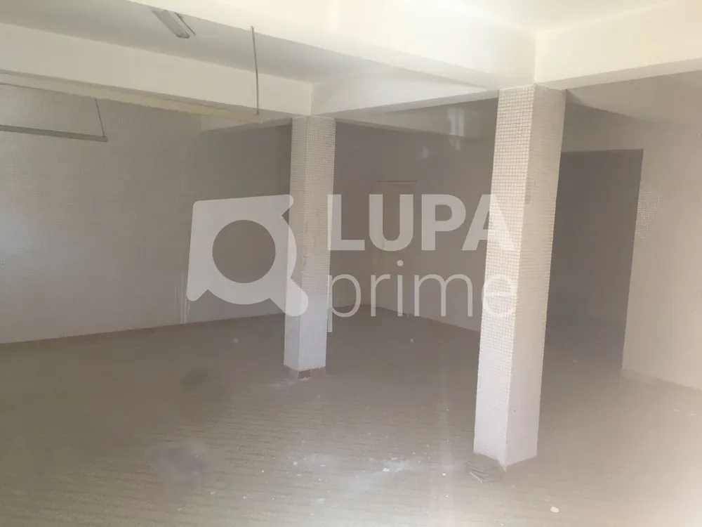 Casa, 3 quartos, 290 m² - Foto 6