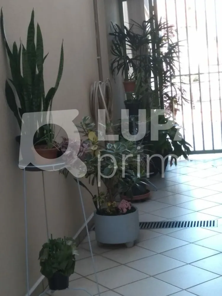 Casa, 3 quartos, 168 m² - Foto 12