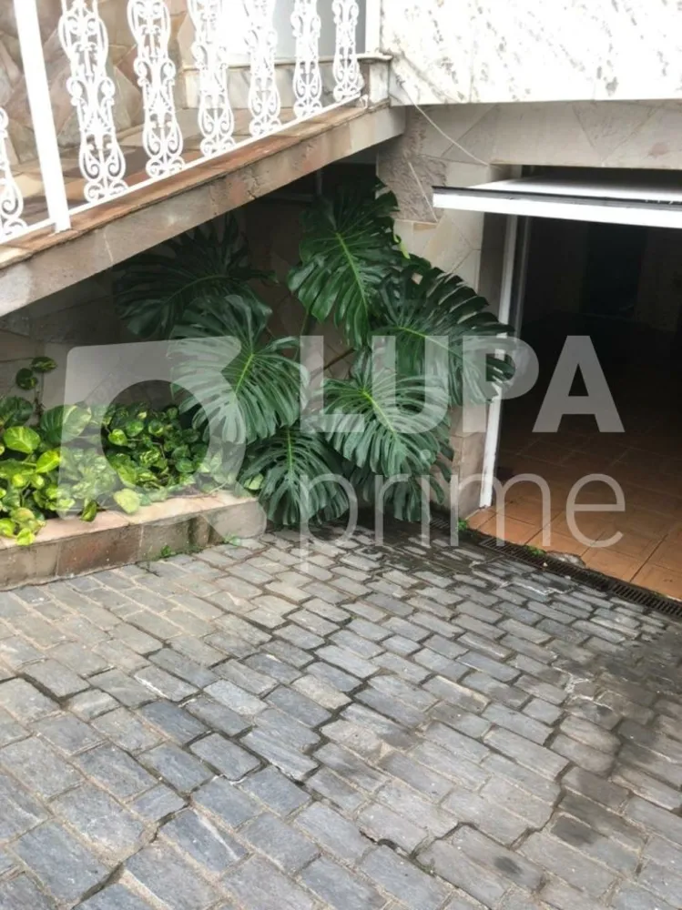 Casa, 3 quartos, 440 m² - Foto 12