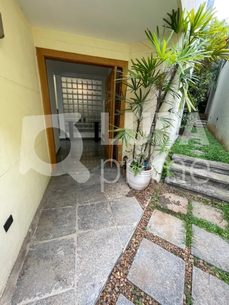 Casa, 4 quartos, 320 m² - Foto 13
