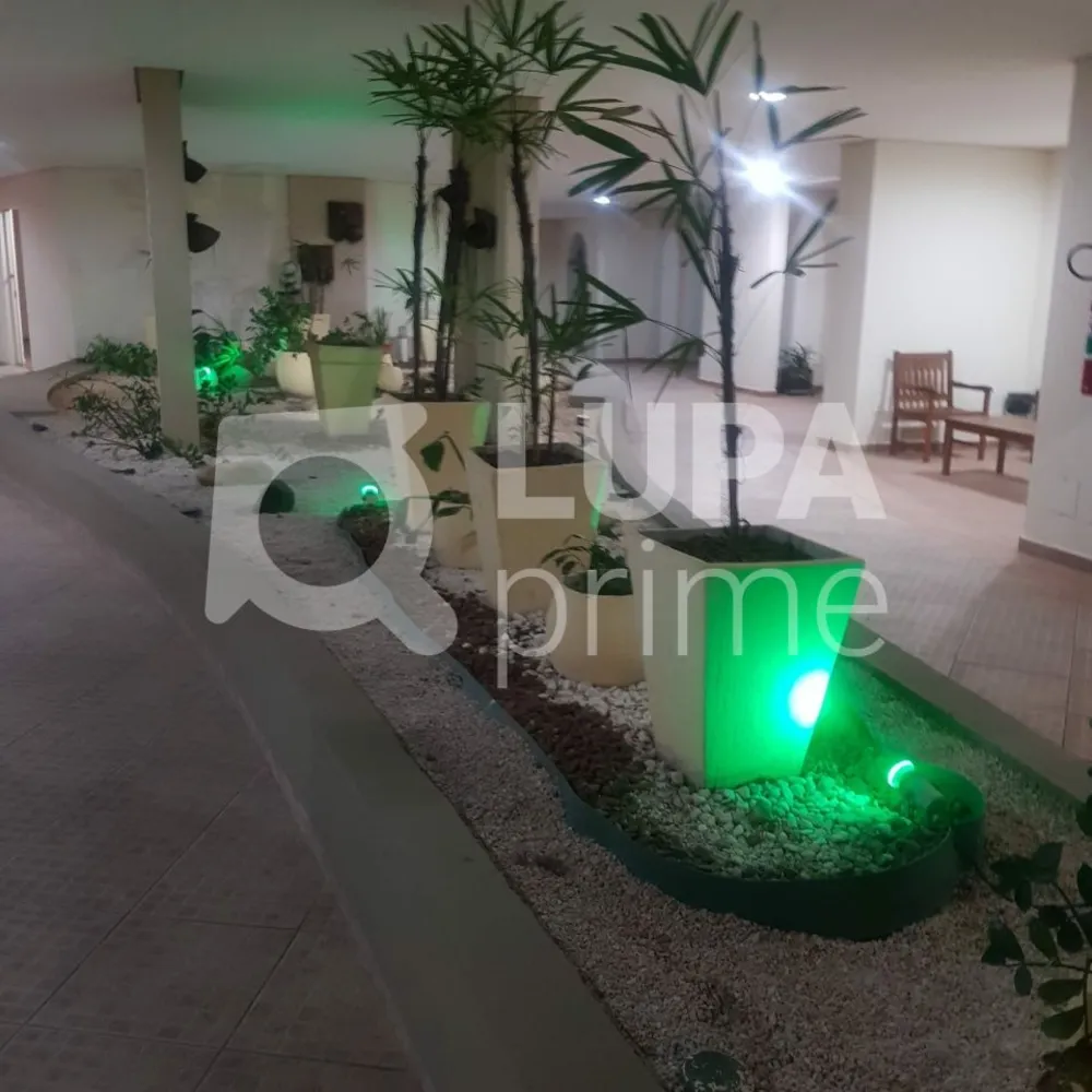 Apartamento, 3 quartos, 74 m² - Foto 14