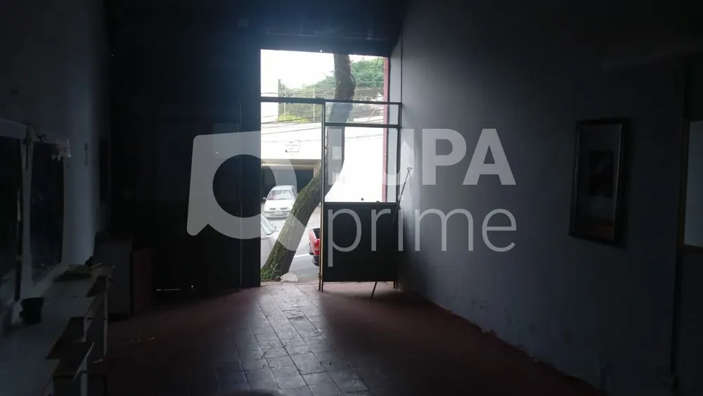 Casa, 6 quartos, 290 m² - Foto 4
