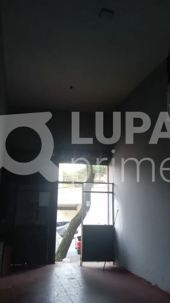 Casa, 6 quartos, 290 m² - Foto 9