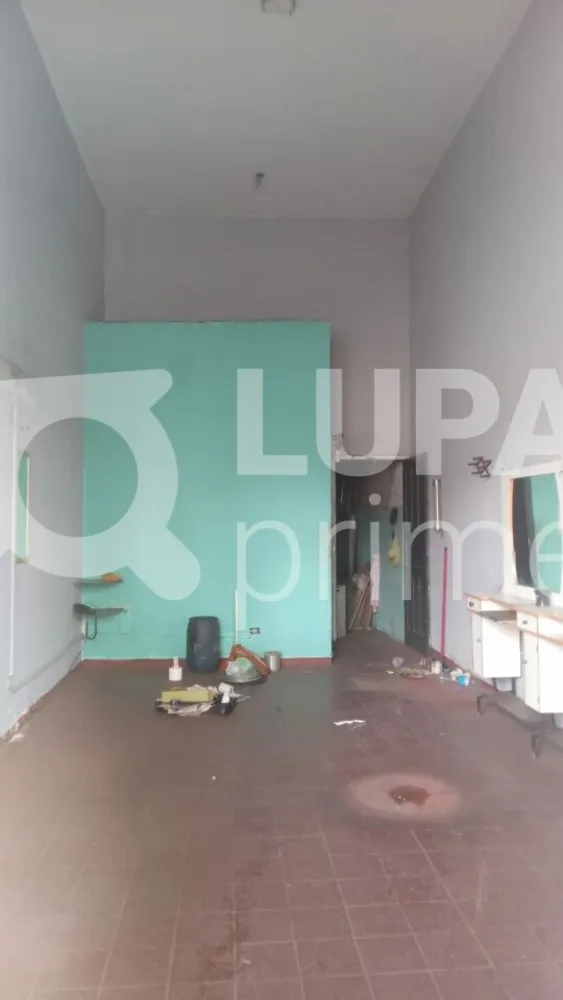 Casa, 6 quartos, 290 m² - Foto 3