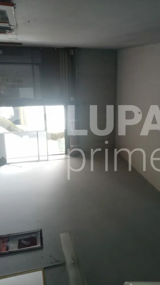 Casa, 6 quartos, 290 m² - Foto 7
