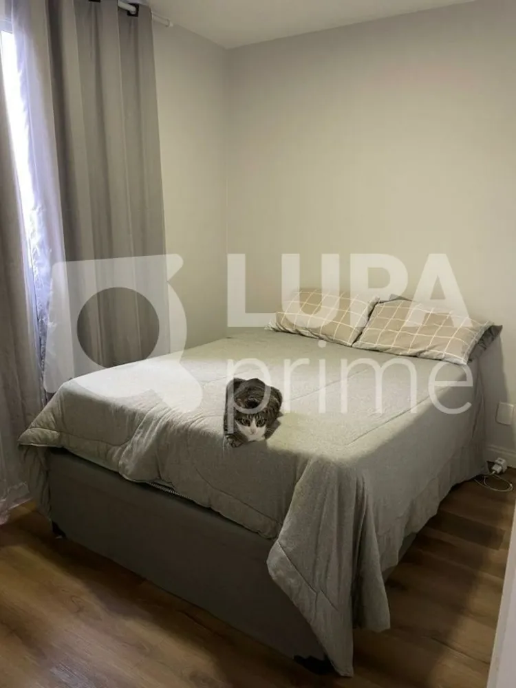 Apartamento, 2 quartos, 40 m² - Foto 10