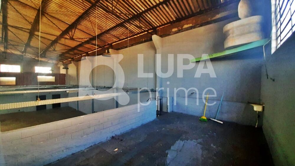 Depósito-Galpão, 515 m² - Foto 2