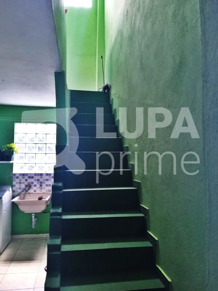 Casa, 6 quartos, 160 m² - Foto 12